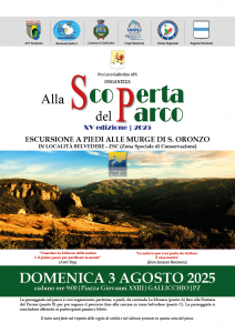 Estate gallicchiese 2025 9