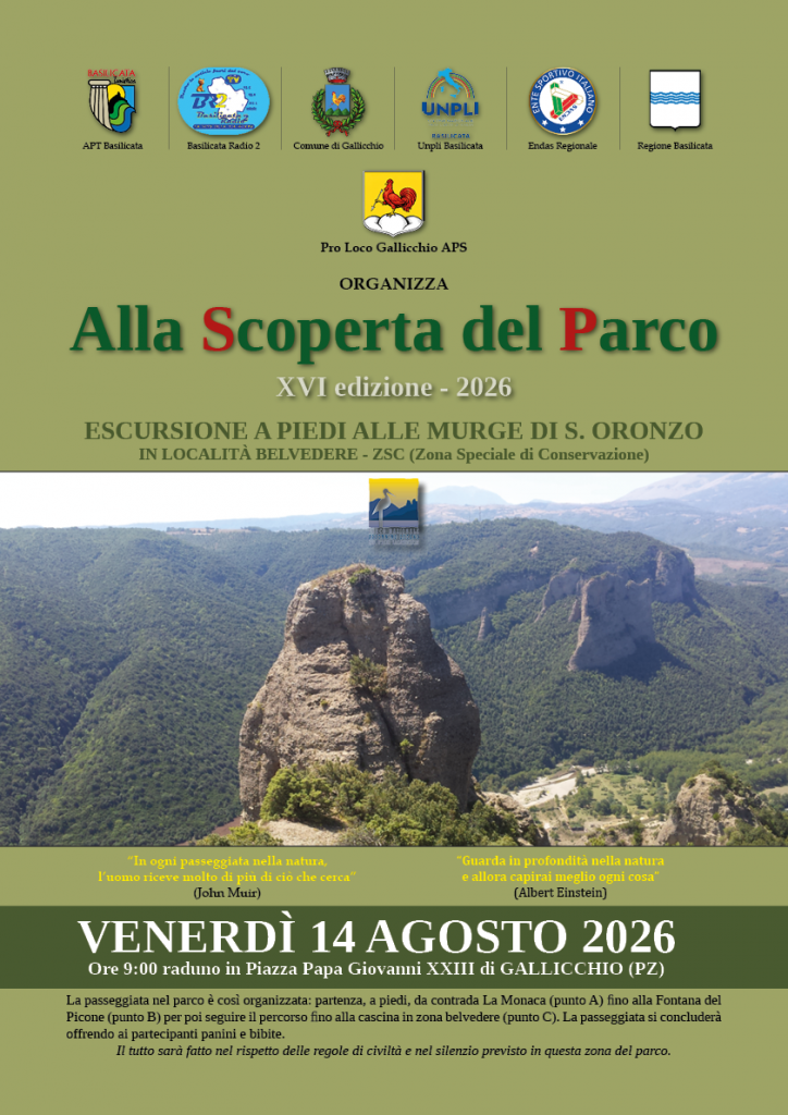 Estate gallicchiese 2026 8